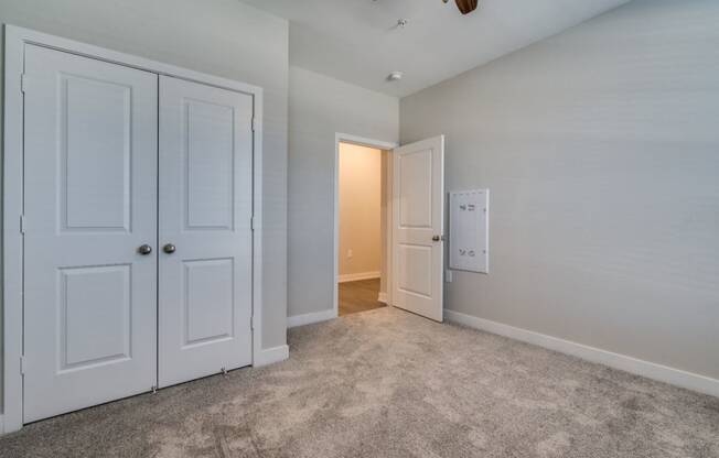 Bedroom with Closet Space (Luxury Floor Plan) at Emerald Creek Apartments, Greenville