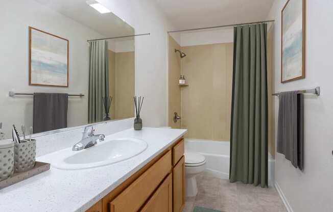 a bathroom with a sink and a toilet and a shower