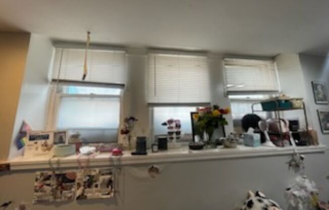Studio, 1 bath, 300 sqft, $990, Unit 3412 Spring Partners LP-LLM ( Far East-PECO)