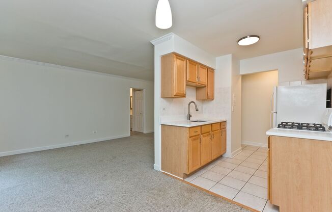 1 bed, 1 bath, $1,595, Unit 213