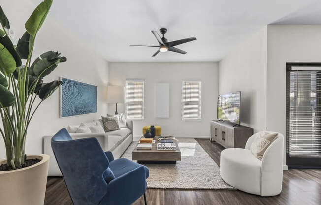 A living room with a blue chair and a white armchair.