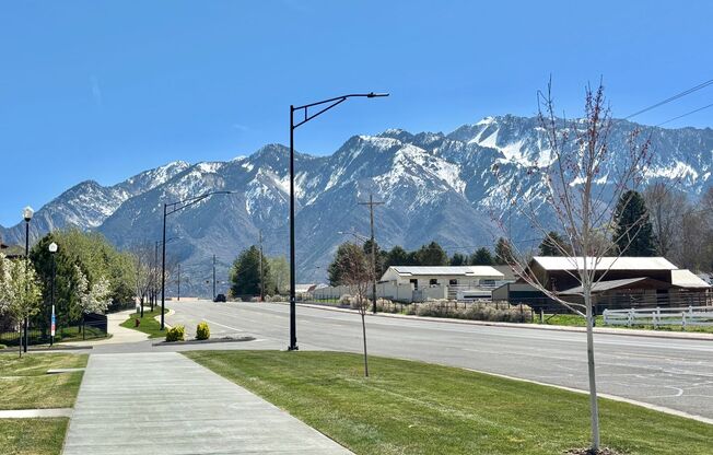 Exclusive Luxury Townhome at Dimple Dell!