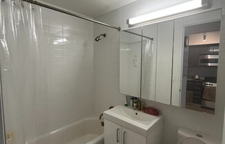 Studio, 1 bath, $3,217, Unit 1123