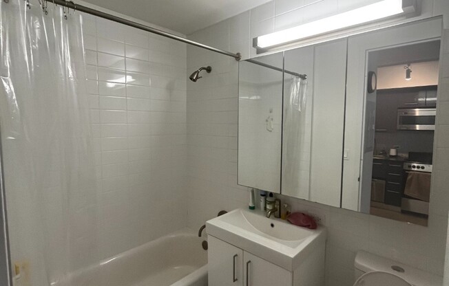 Studio, 1 bath, $3,217, Unit 1123