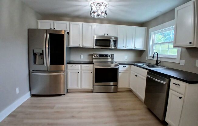 Adorable, remodeled 3br/2ba house close to downtown Knoxville!