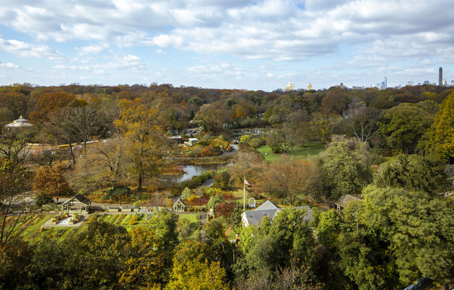 1 bed, 1 bath, $3,850, Unit 11C