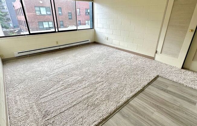 Studio, 1 bath, 302 sqft, $1,100, Unit 302