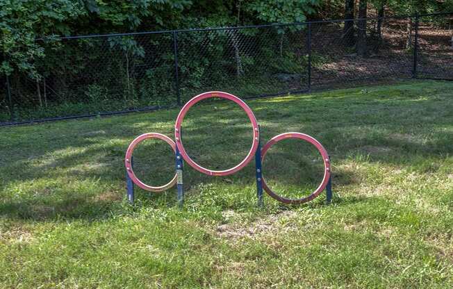 colorful hoops in the grass in a dog park at Wynnwood Vinings