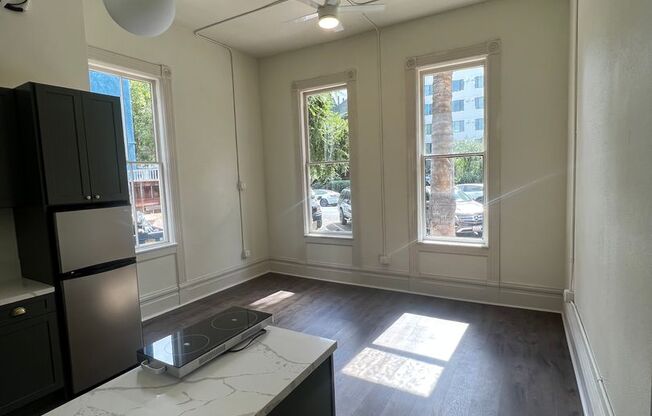 Studio, 1 bath, 254 sqft, $1,795, Unit 101