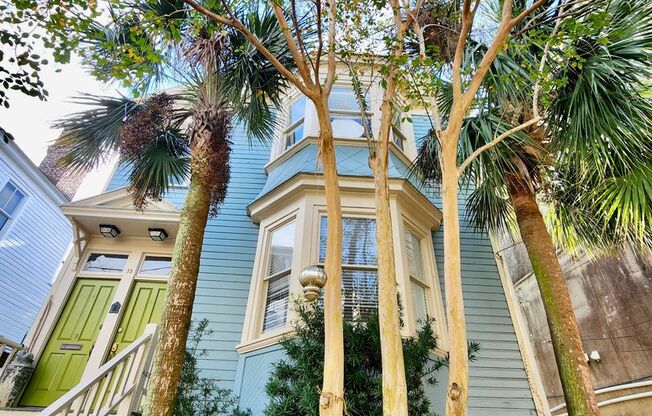 Beautiful, historic home just steps away from East Bay - Downtown, Charleston