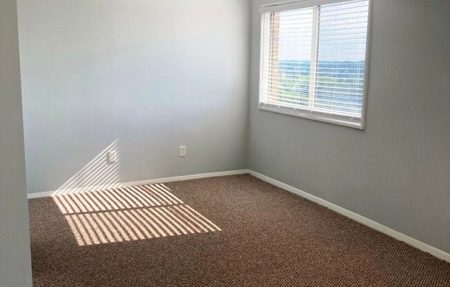 Studio, 1 bath, $1,190