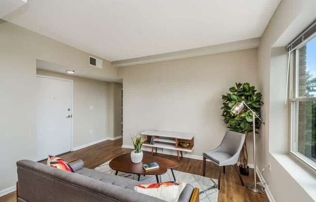 A living room with a grey couch, a wooden coffee table, a white chair, and a green plant.