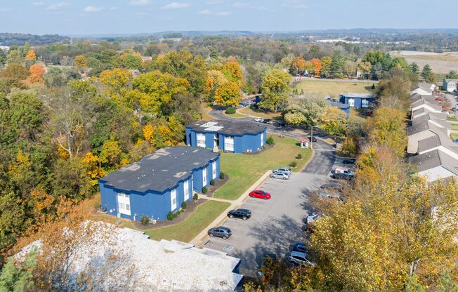 Newly Renovated Oak View Apartments