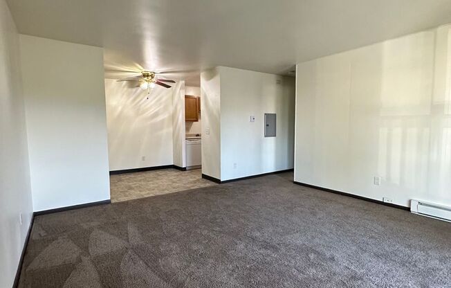 1 bed, 1 bath, $1,250, Unit 7