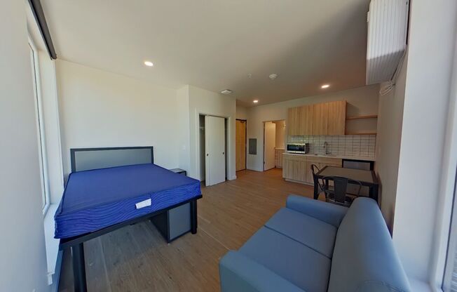 Studio, 1 bath, 314 sqft, $1,225, Unit 405