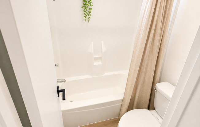 Studio, 1 bath, $1,095, Unit MV C 4
