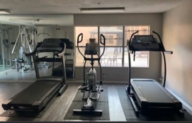 1 bed, 1 bath, 500 sqft, $1,780, Unit 207