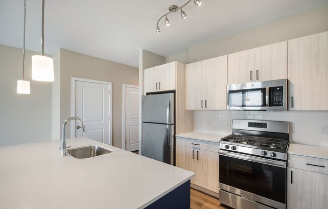 Two Bedroom Luxury Apartment (Elevator Building)
