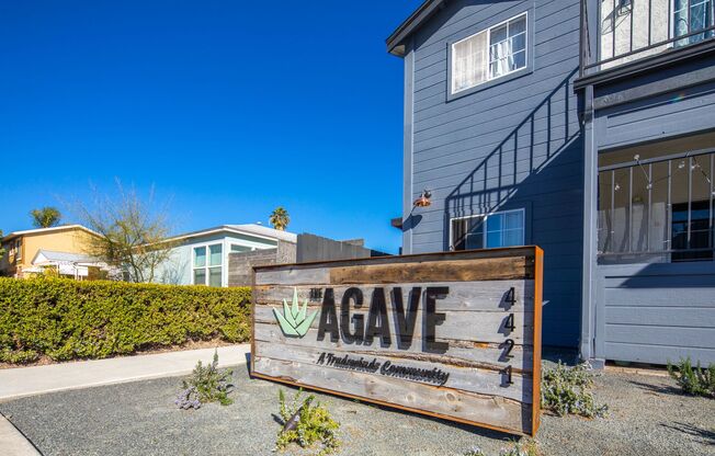 Agave