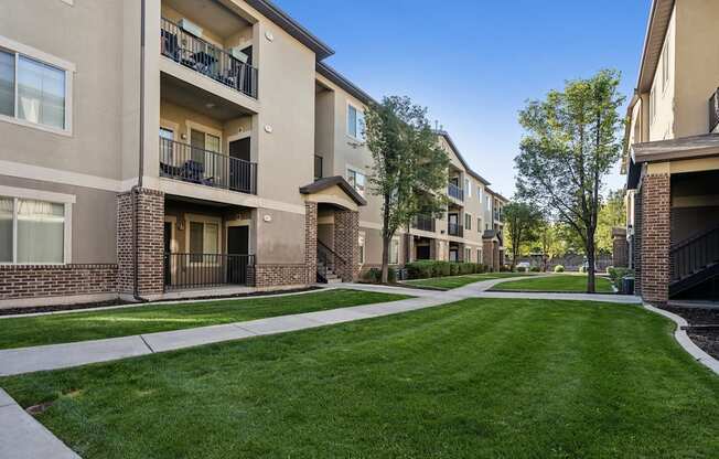 our apartments have a spacious courtyard with green grass and trees