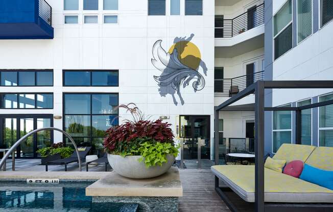a large potted plant in front of a swimming pool