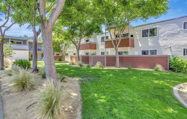 A tree in a yard in front of a building.