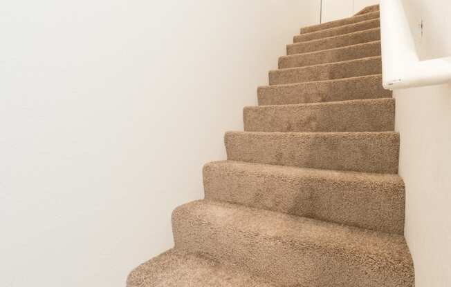 an image of a carpeted staircase in a home with white walls