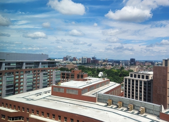 Studio, 1 bath, 437 sqft, $3,300, Unit 19D