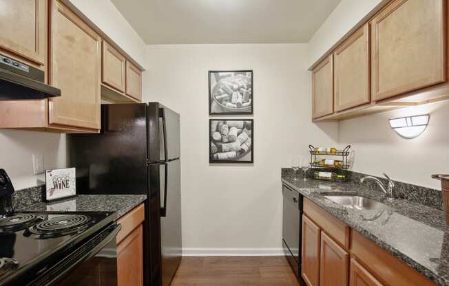 Mirage Upgrade Kitchen with Granite, at Lakeside Village Apartments, Clinton Township 48038