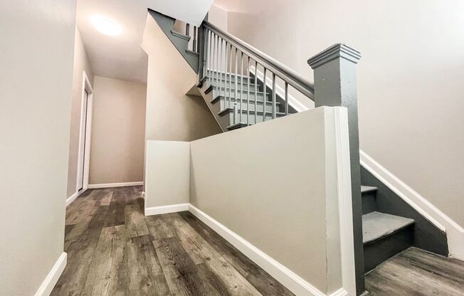 102 Albion St