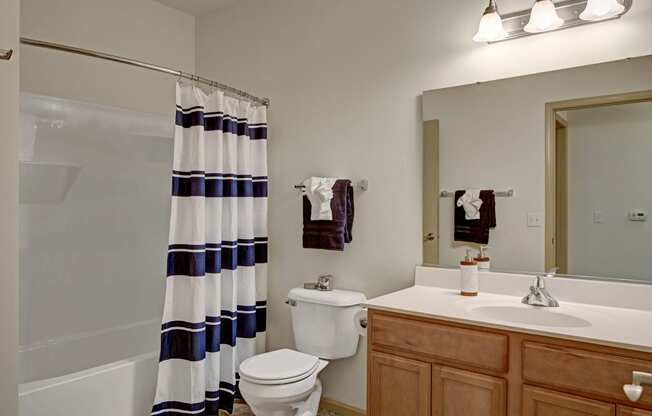 Swan Creek Bathroom Apartments in Fitchburg, Wisconsin