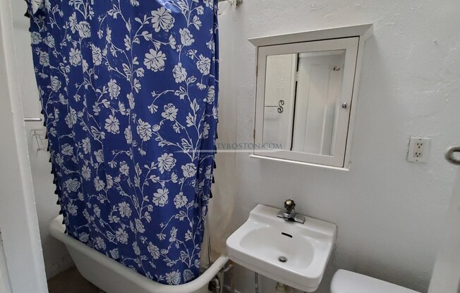 17 BIGELOW ST