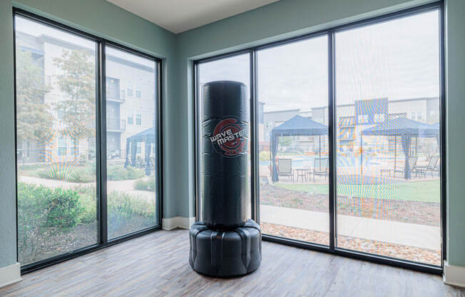 a room with a large punching bag in front of some windows