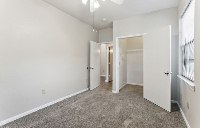 2 beds, 1 bath, 787 sqft, $1,310