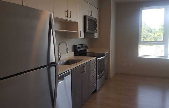 Studio, 1 bath, 305 sqft, $1,375, Unit 01-318