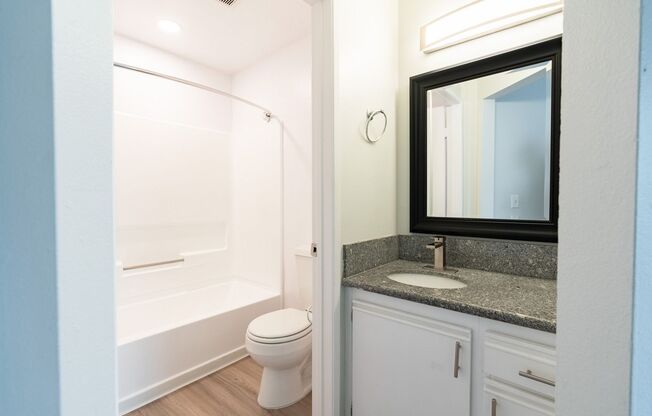 1 bed, 1 bath, 705 sqft, $1,598, Unit 313