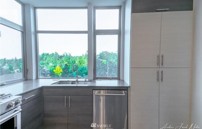 3Bd/2.5Ba Seattle Townhome