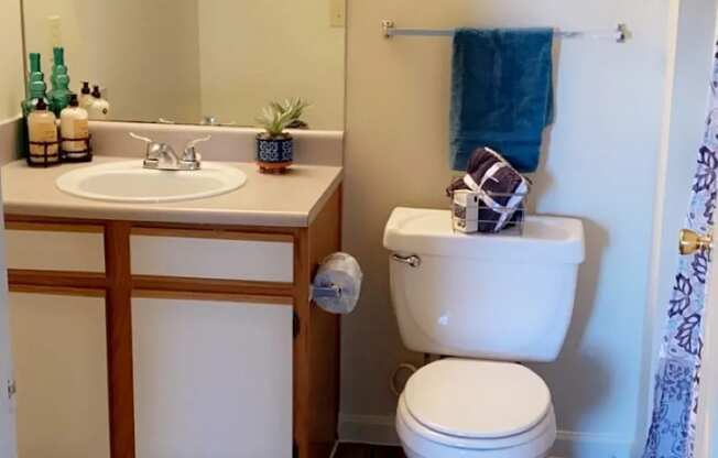 a bathroom with a toilet sink and mirror at EDGEWOOD AT GABLES Apartments, TULSA, OK