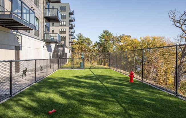 A dog is walking on a leash in a fenced in area.