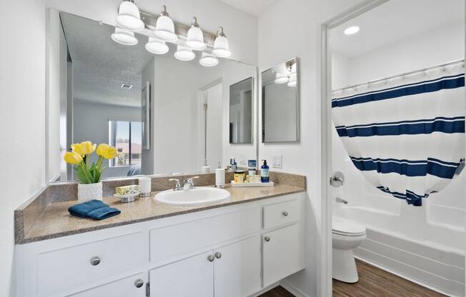 a bathroom with a sink and a shower and a mirror