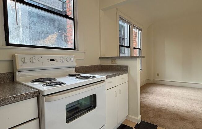 Studio, 1 bath, 405 sqft, $1,195, Unit 215