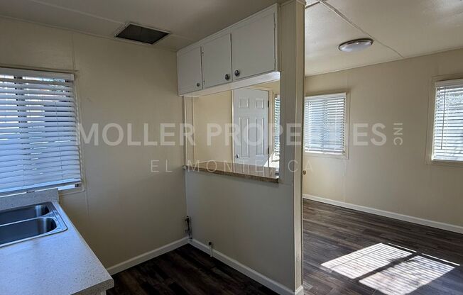 Magnolia 11900-11906