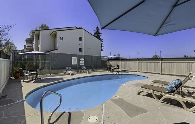 Resort Style Pool with Lounge Chairs in the Sun at Campo Basso Apartment Homes, WA 98087