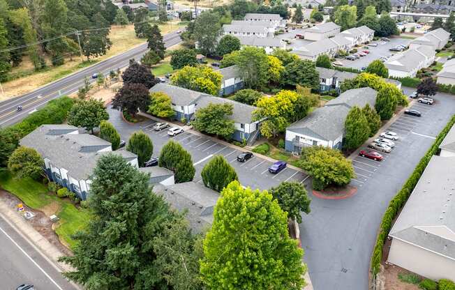 A parking lot is surrounded by trees and buildings.