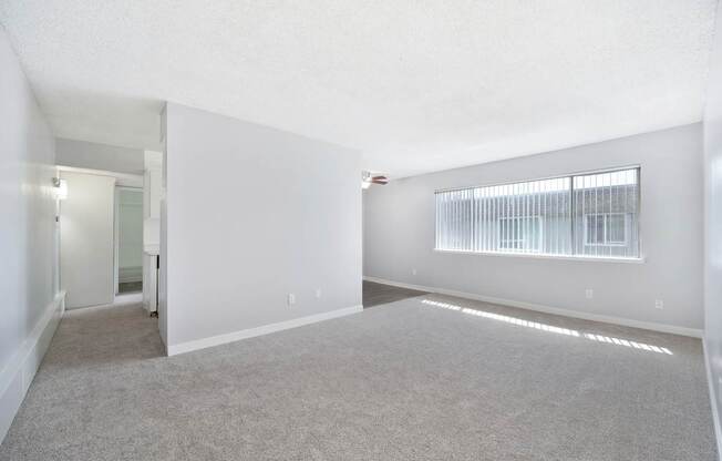 The Canopy | Living Room