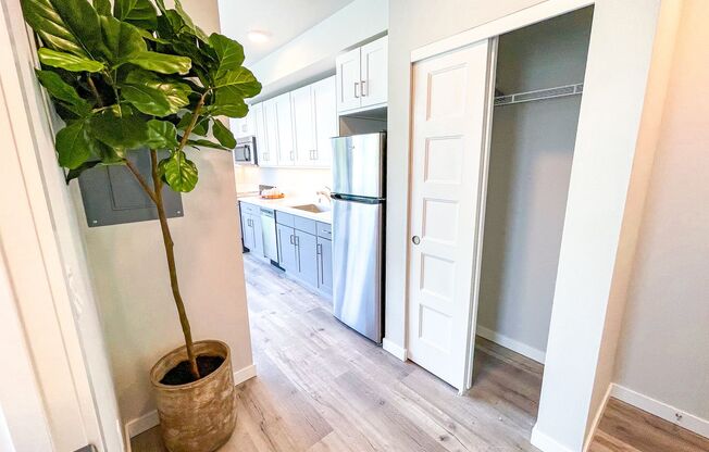 Studio, 1 bath, 320 sqft, $1,295, Unit 403