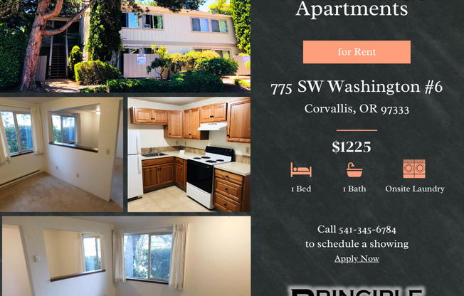 Willow Tree Apartments