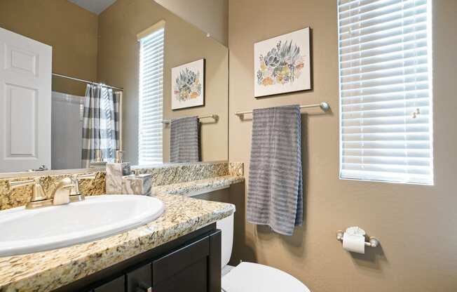 a bathroom with a sink and a toilet and a mirror