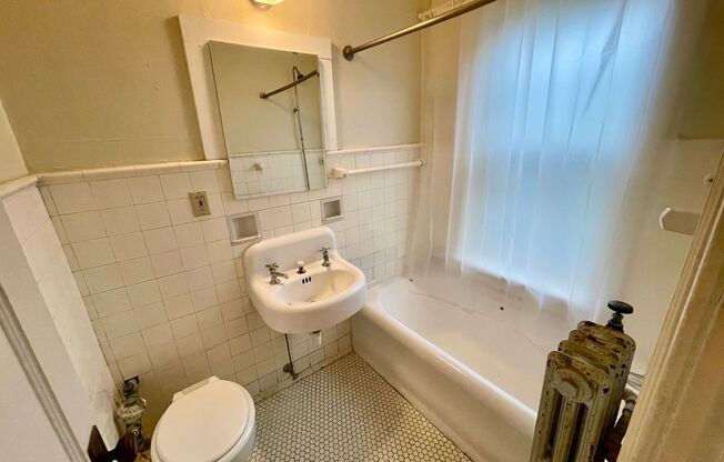 Studio, 1 bath, $875, Unit 205