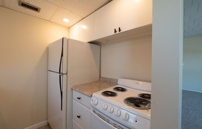 1 bed, 1 bath, 600 sqft, $970, Unit 409